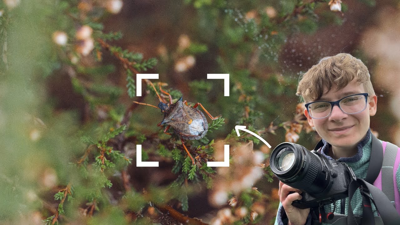 How to find wildlife for photography | Wildlife photography vlog