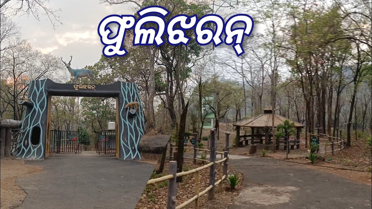 Phurlijharan Waterfall & Park : Bhawanipatna :Kalahandi