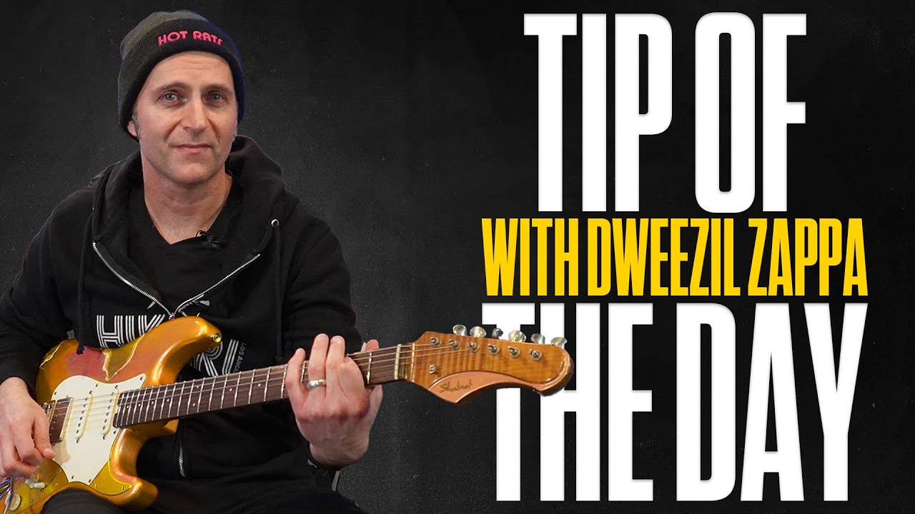 Dweezil Zappa - 