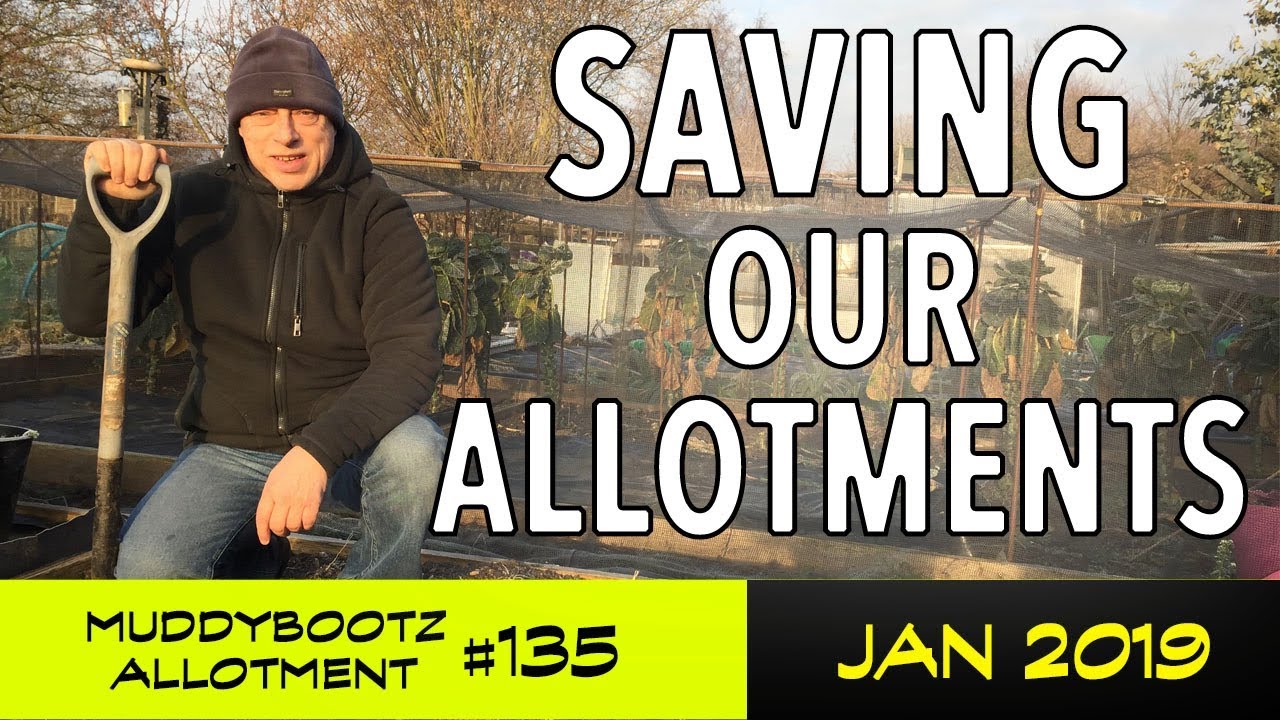 MuddyBootz Allotment #135 - Saving Our Allotments