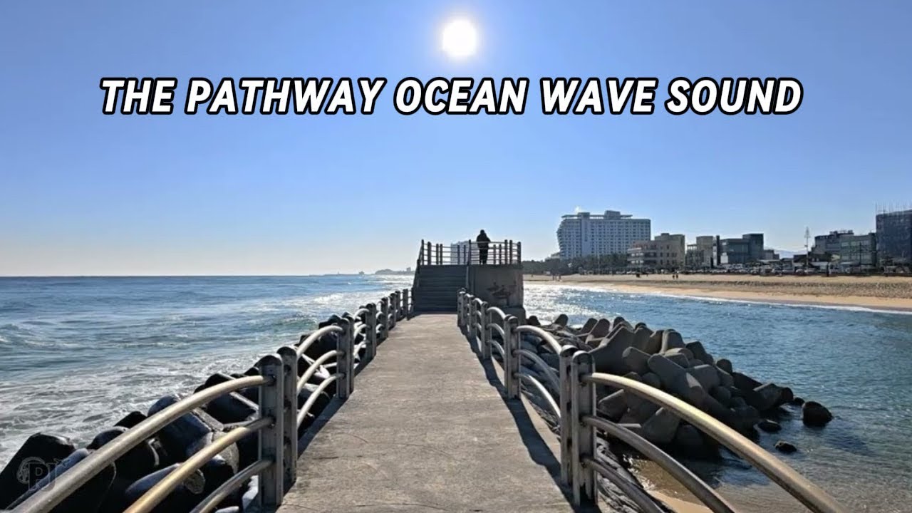 The Pathway through the Beach | Relaxing 4K ASMR for Sleep & Focus | Perpetual Journey