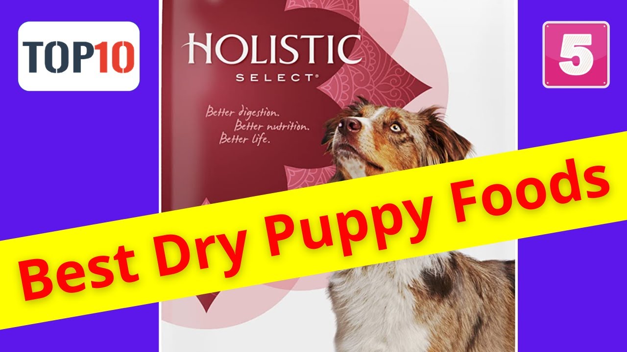 Top10 Best Dry Puppy Foods- Holistic Select Adult & Puppy Grain-Free Dry Dog Food(Reviews)✅Part 5