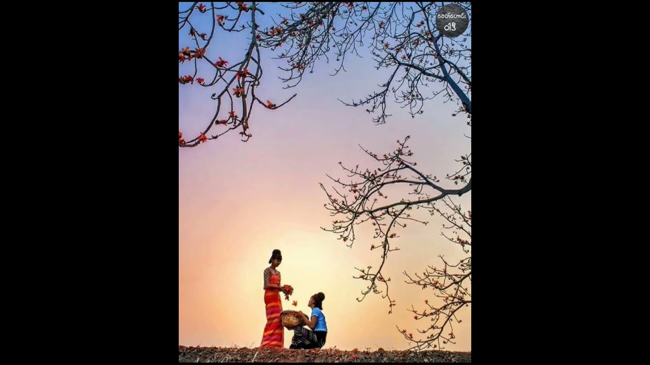 လက်ပံပွင့်ကောက် အရောက်လာမယ် //မာမာအေး ၊ အေးအေးသွယ် ၊ မိမိလေး (Lyric Video)