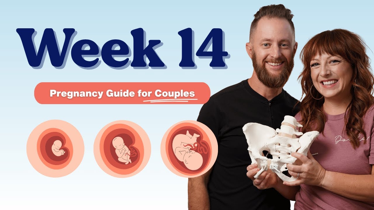 14 недель беременности — советы для пар | Пошаговое руководство по беременности