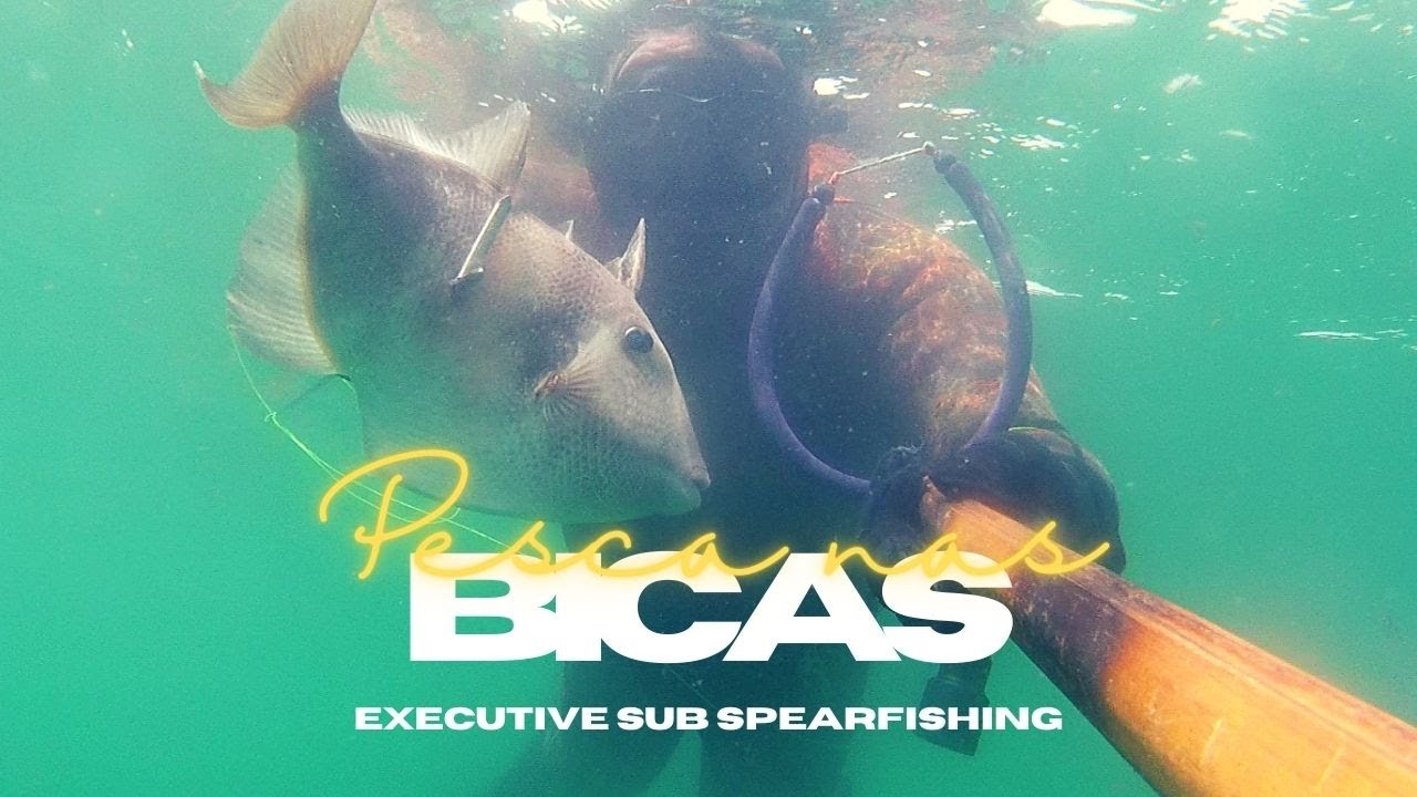 Pesca nas Bicas (Spearfishing Sesimbra, Portugal)