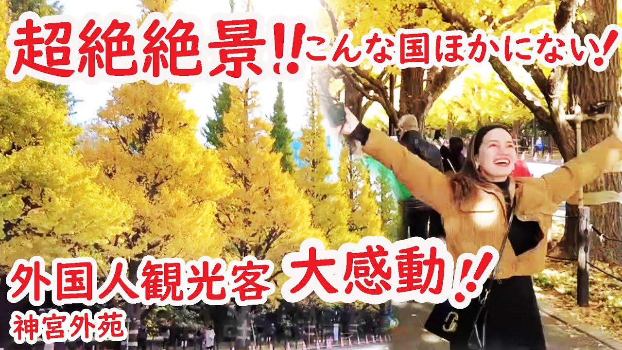 【リアルな海外の反応】外国人観光客 絶景 黄葉に大感動!!!!こんな国ほかにない！この大都会TOKYOが すごすぎる 神宮外苑は超絶絶景イチョウのトンネル！明治神宮　青山通り