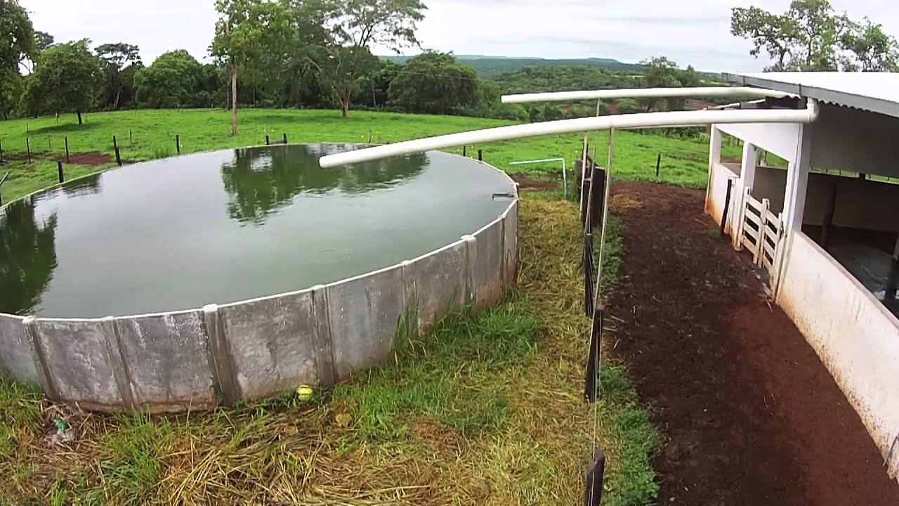 Sustentabilidade e rural business: História de sucesso na produção de leite em Mato Grosso do Sul MS