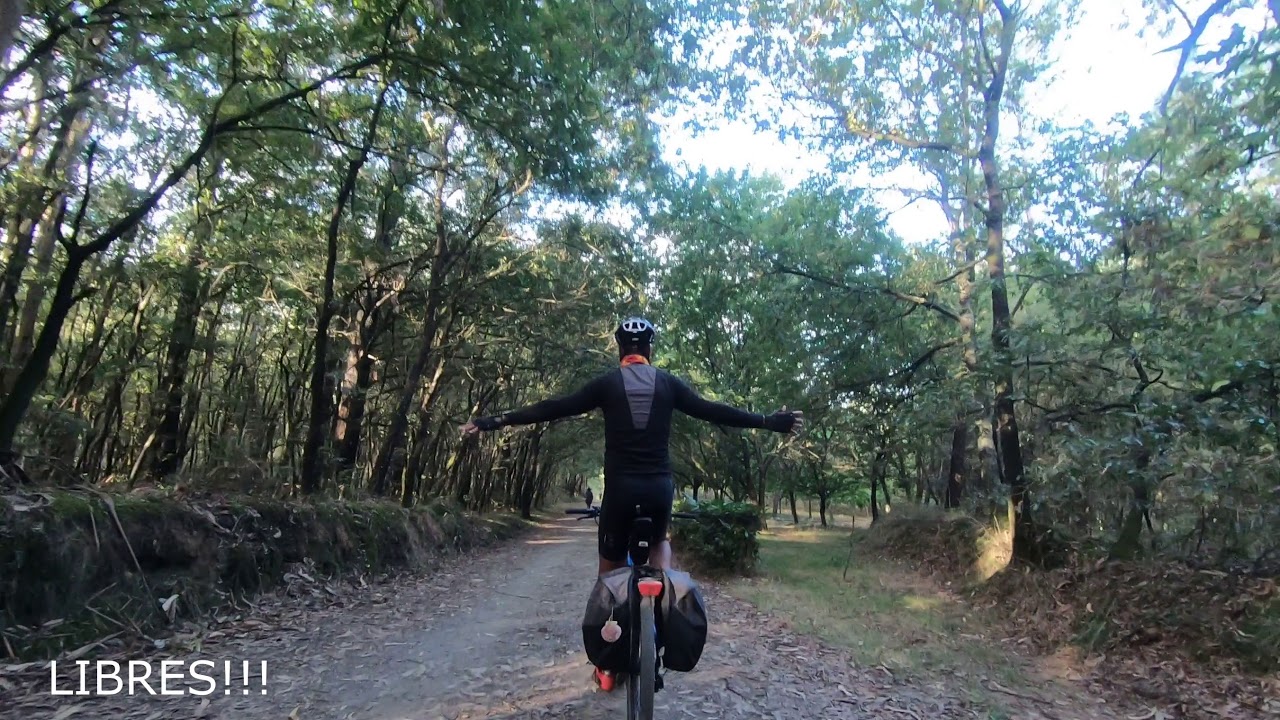 CAMINO DE SANTIAGO: ETAPA 11 MELIDE - SANTIAGO DE COMPOSTELA (EN BICICLETA)