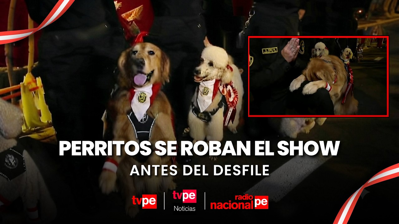 Gran Parada y Desfile C&iacute;vico Militar 2026: Unidad Canina cautiva al p&uacute;blico en la av. Brasil
