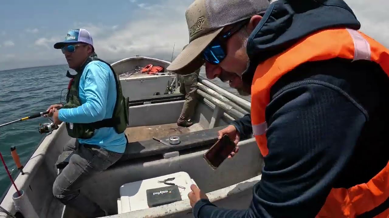 Pesca embarcado, pesca de monos(bonito), sierra, palometa y un rollizo. Coquimbo Chile Cuarta Región