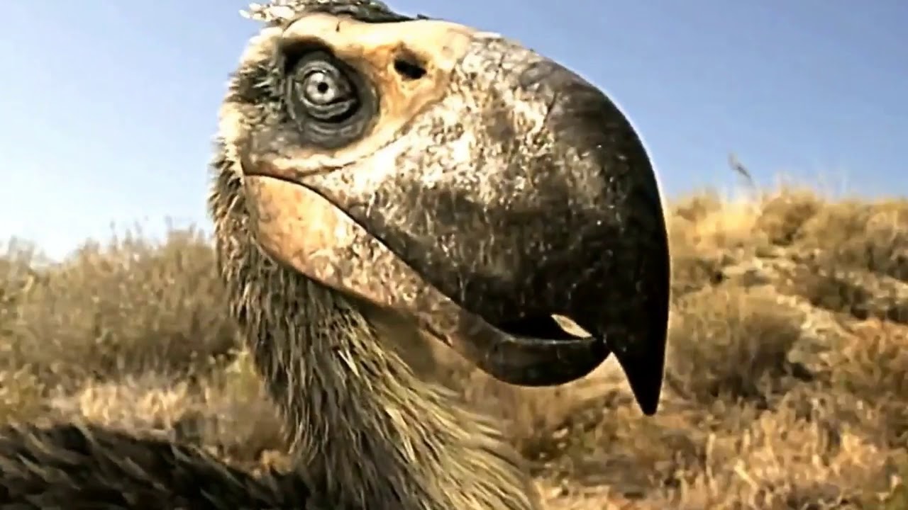 Tribute Terror Bird - The Animal
