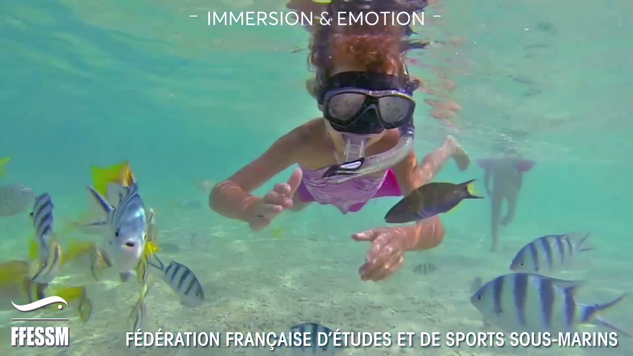 Pr&eacute;sentation FFESSM