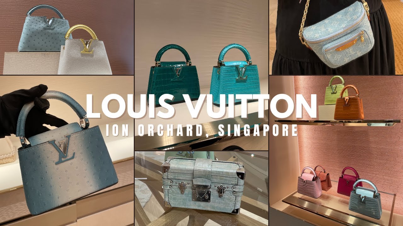 Louis Vuitton Vlog, Capucines, Exotics, Denim, Huge LV Store, Ion Orchard Singapore