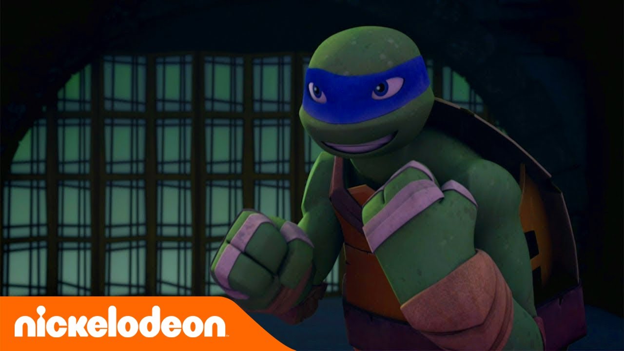 Tartarugas Ninja | Quem te ensinou isso? | TMNT | Nickelodeon em Português