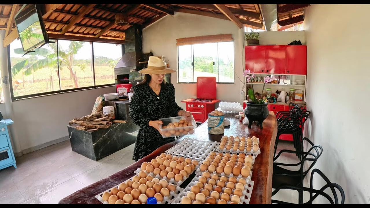 Rotina do dia aqui na roça / Dia de separar os ovos para a entrega/Muita fartura!