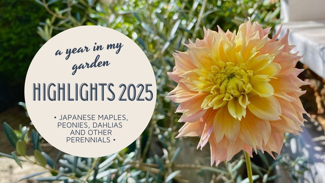 A Year In My Garden 🌸 | 2025 Highlights