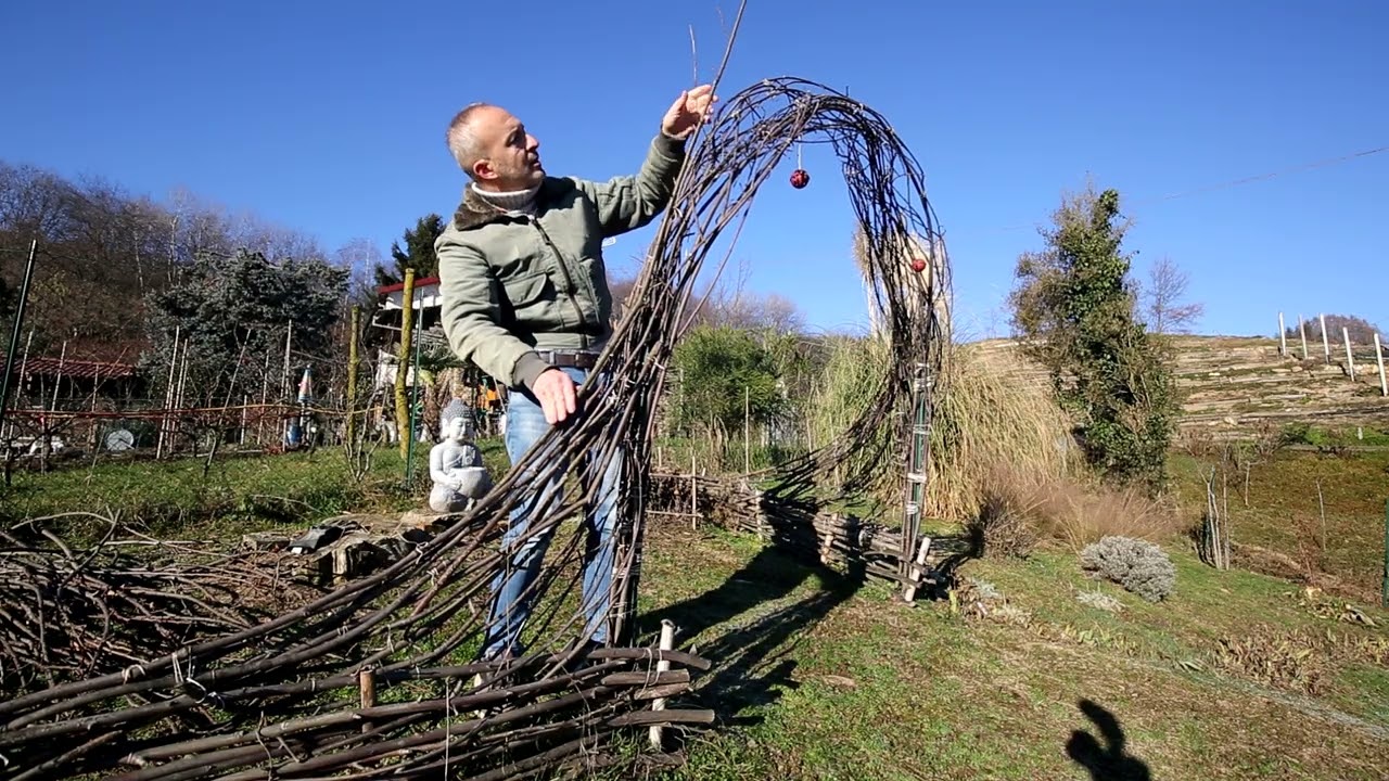 Il mio Arco di rami in Giardino ha bisogno di manutenzione.