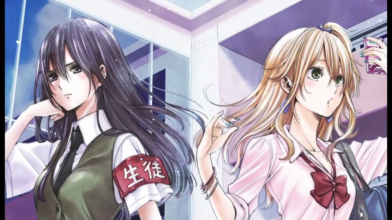 Citrus American Broadcast Opening