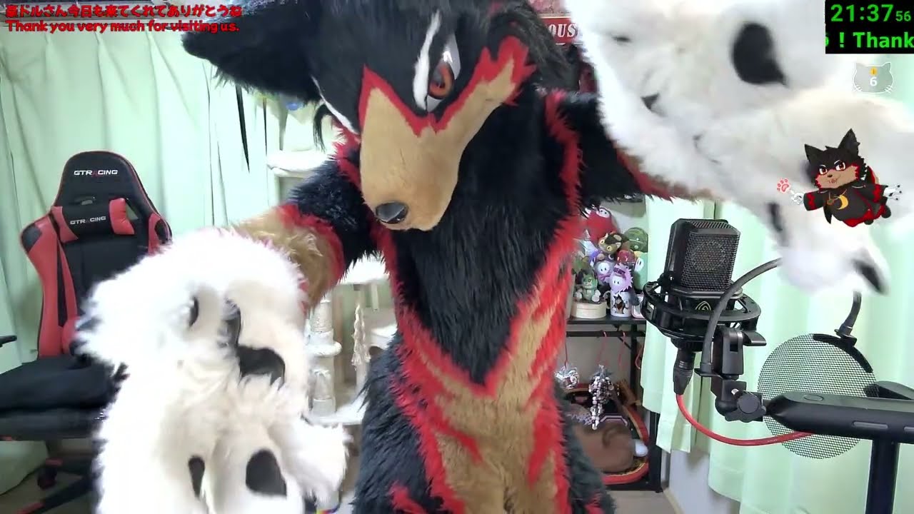 【Fursuit/獣化 #184】火曜のまったりもふもふタイム🐶🐾【ジュージュー/VTuber】#freetalk #雑談 #fursuit #獣化 #furry