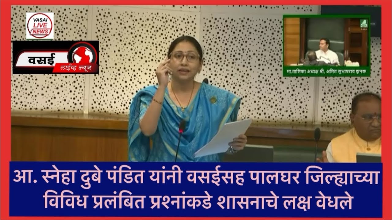 आ. स्नेहा दुबे पंडित यांनी वसईसह पालघर जिल्ह्याच्या विविध प्रलंबित प्रश्नांकडे शासनाचे लक्ष वेधले