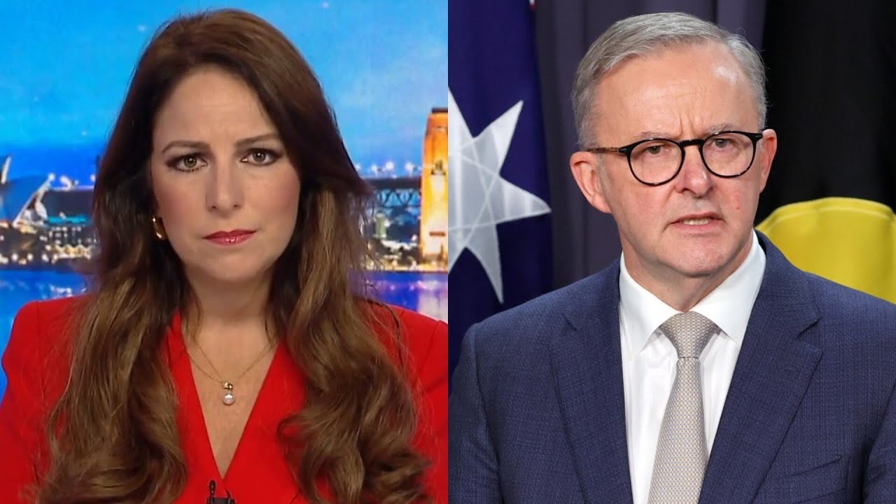 ‘Morally corrupt’: Sharri Markson reacts to Hamas ‘celebrating’ Albanese’s Palestine call