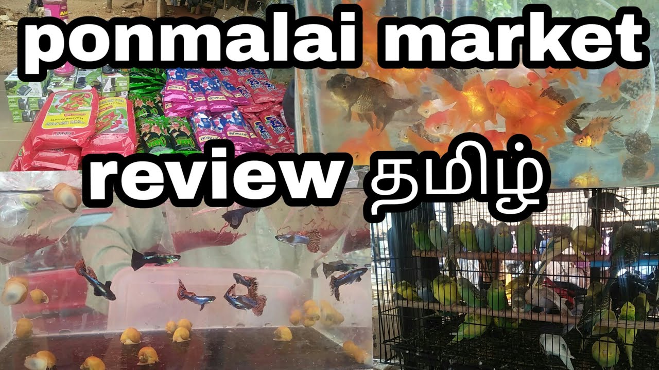 Ponmalai market (trichy) review part 1