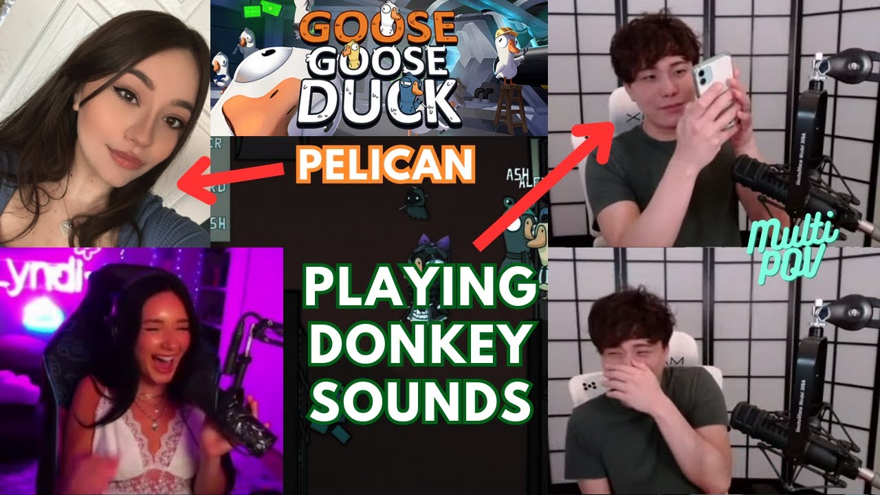 Sykkuno Trolls Banana (Claire) with a Soundboard as a Revenge for Eating Him (MULTI POV w/ Lyndi)