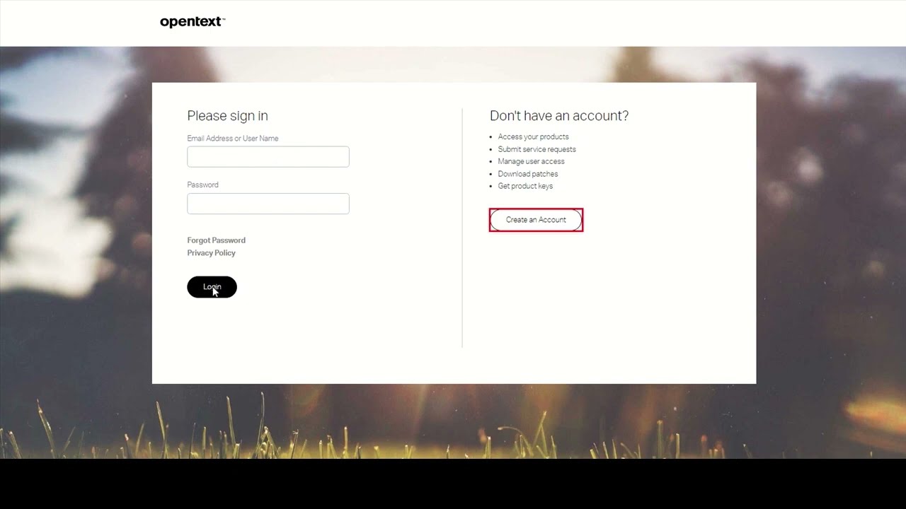 Software Licenses and Downloads: Portal Introduction