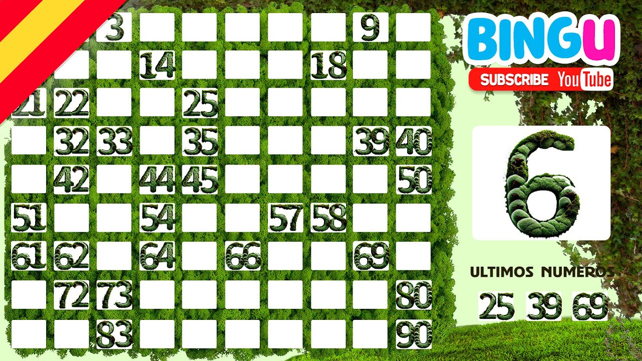 AMBIENTE &Iacute;NTIMO Y VERDE Bingo 90 Bolas en Casa con Amigos 👥💚