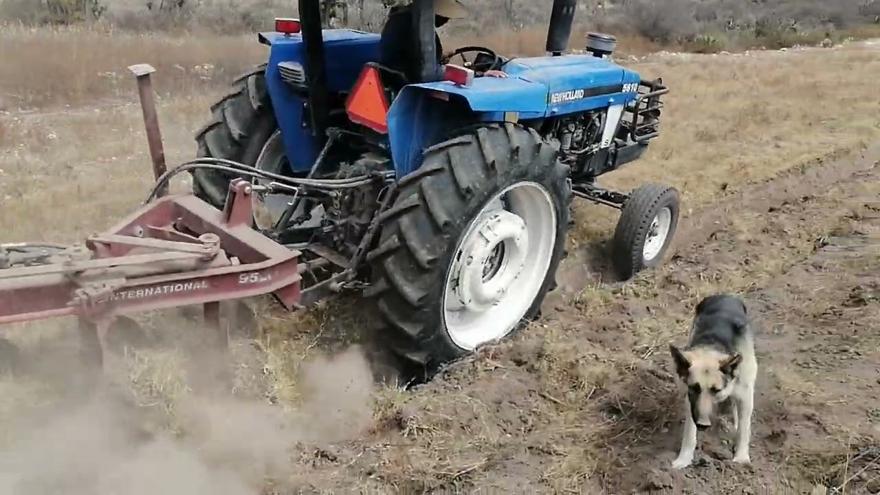 dándole duro a la chamba con la newholland 5610 con el arado internacional 925