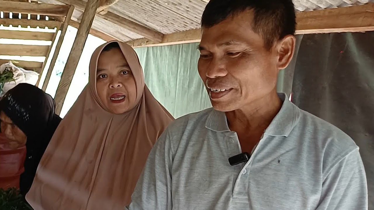 BAKALAN BREEDING LEPAS SAPIHAN KE TAKOKAK CIANJUR SELATAN