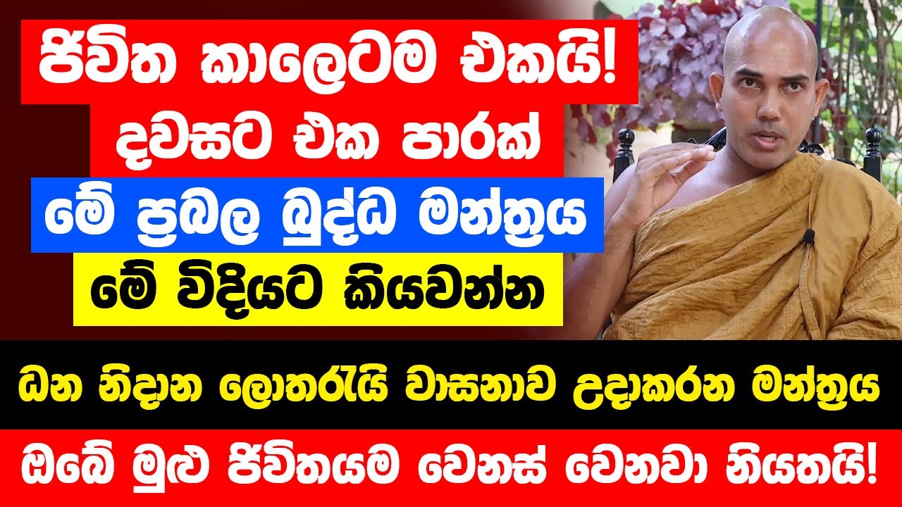 ජිවිත කාලෙටම එකයි! මේ බලගතු බුද්ධ මන්ත්‍රය කට පාඩම් කරගන්න - ධන නිදාන ලොතරැයි වාසනාව උදාකරන මන්ත්‍රය