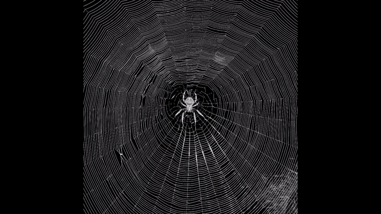 [FREE]  supertrap x dark ambient type beat - 