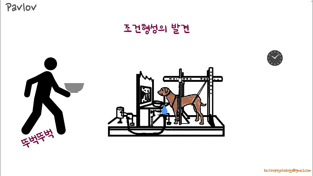 고전적 조건형성의 시작_Pavlov