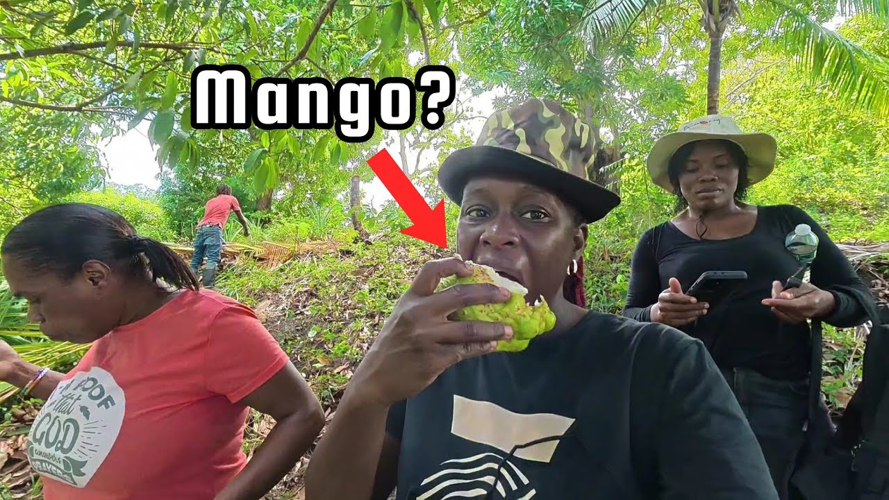We Went Looking For Mangoes Before The Season And This Is What Happen