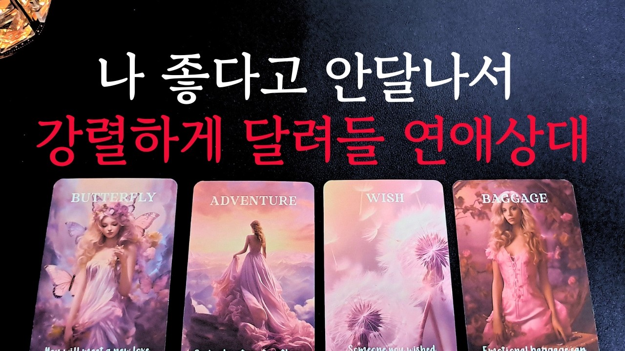 [타로/연애운]🔥로맨틱한 사랑을 하게 될 나의 진짜 인연 연애상대 💗상대방 외모 성격 특징 만남의계기🌹썸 짝사랑 재회 솔로 고백 연락 타로💖
