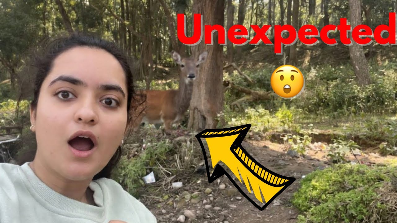 Secret trip👀 | unexpected sighting | bonthli ladki | ep -1 |