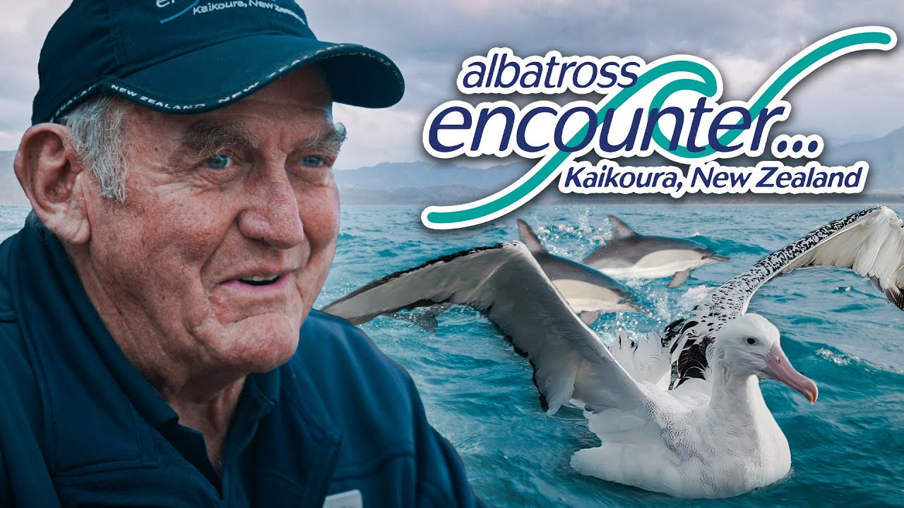 ALBATROSS ENCOUNTER KAIKOURA / MEET GARRY