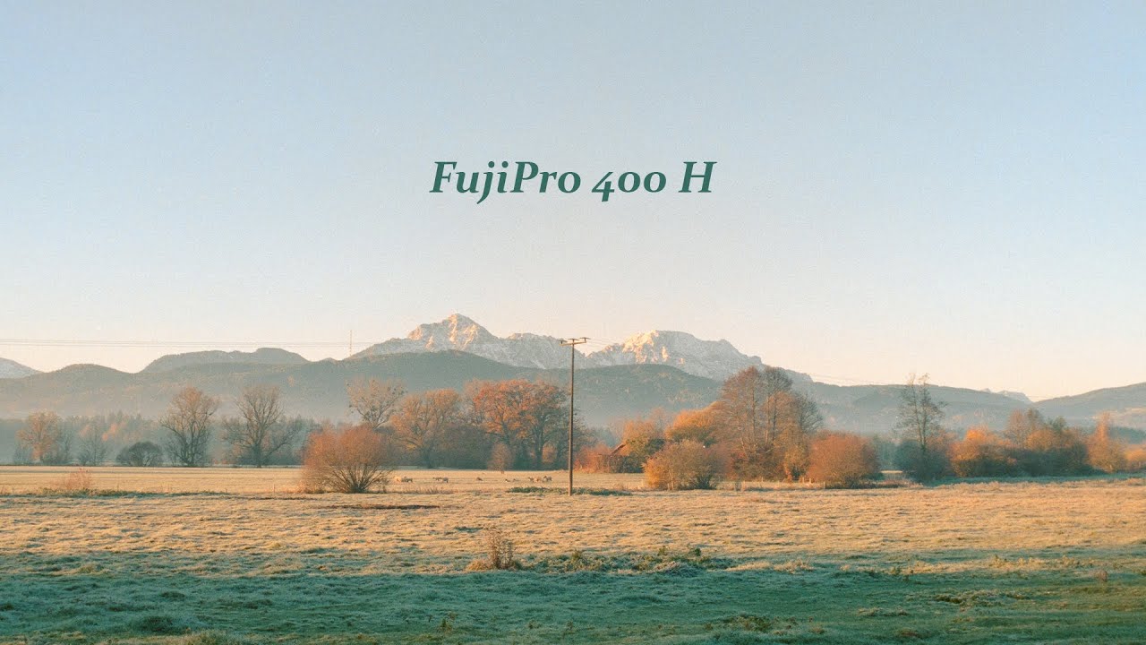 Film Photography on a cold winter morning - FujiPro400H