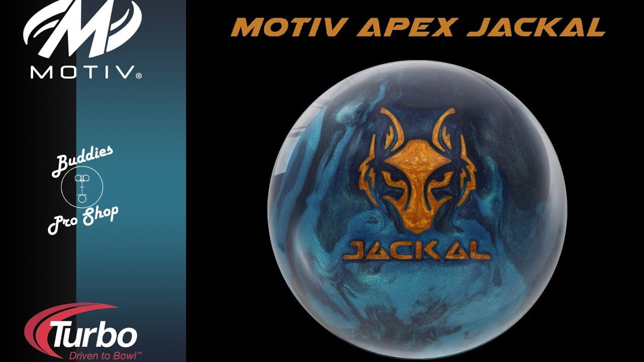 Motiv Apex Jackal 