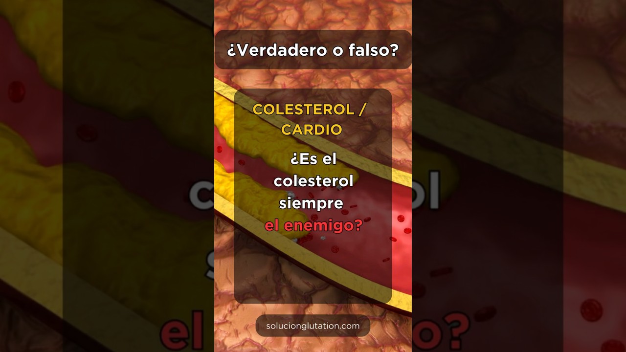❤️ Colesterol: la importancia de la protección celular