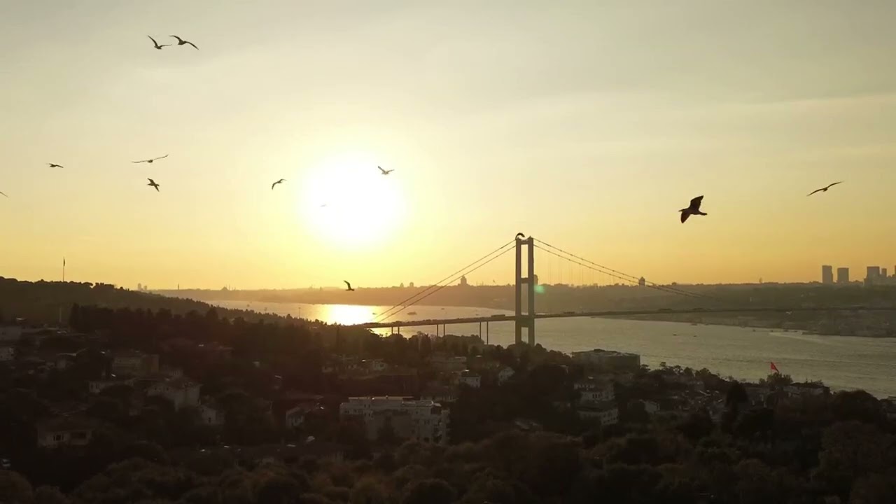 Mine Özdemirtaş - Biraz Kül Biraz Duman