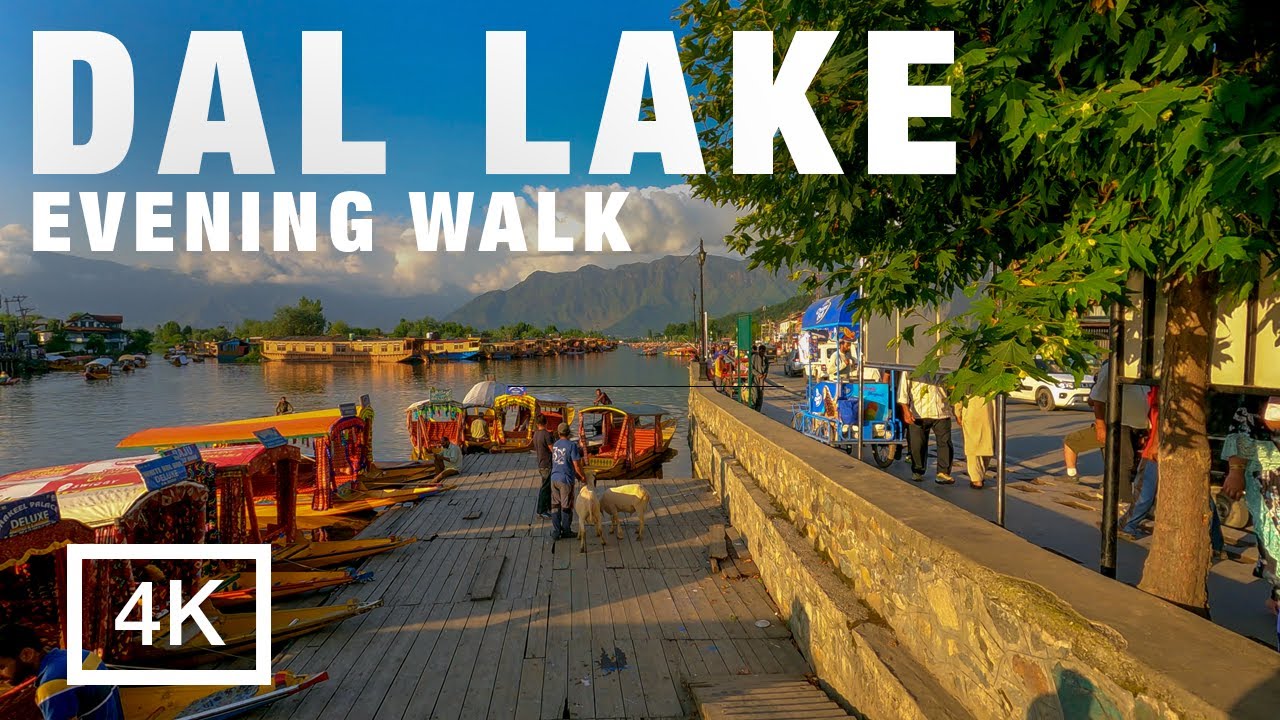 Dal Lake Kashmir | Full Evening Walking Tour in 4K 60fps | Stunning Sunset & Shikaras