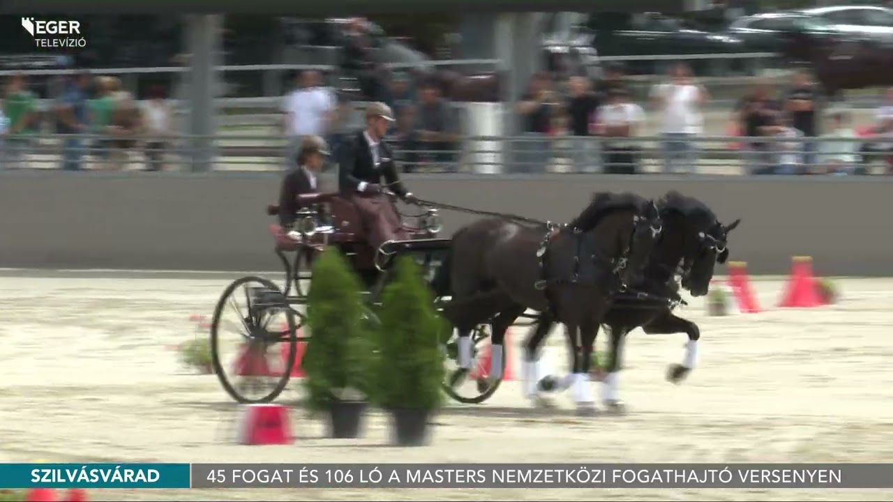 2025.07.28. - 45 fogat és 106 ló a Masters Nemzetközi Fogathajtó Versenyen