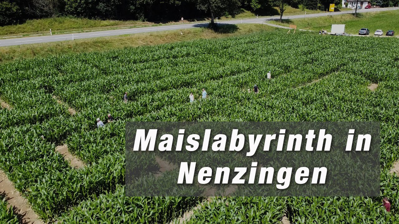 Freizeitspaß in Nenzingen