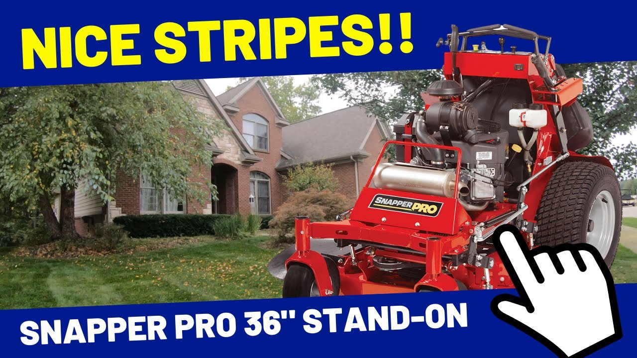 Snapper Pro 36