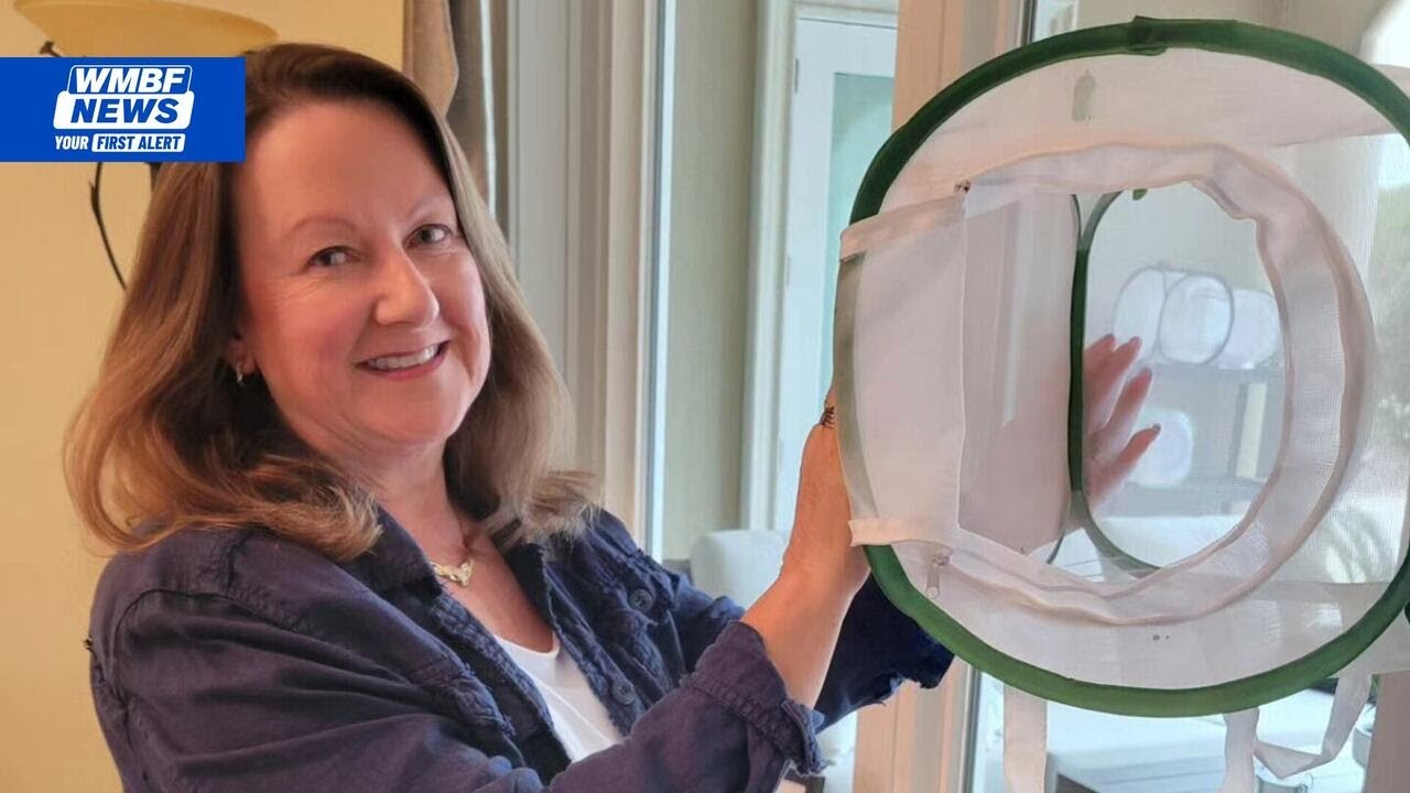 This Is Carolina: A Grand Strand woman turns backyard into a butterfly sanctuary