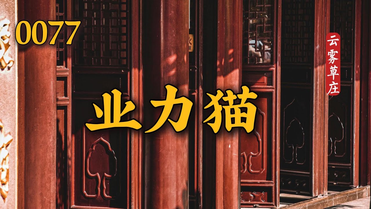 0077  业力猫
