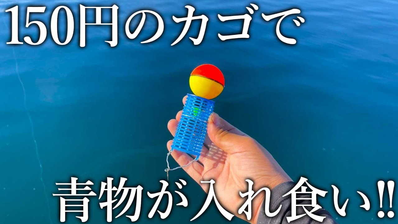中古釣具で自作した150円のカゴで青物が入れ食い！青物が沸き上がるスルカゴ釣法が面白い