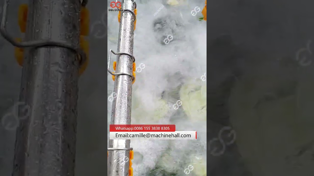 Leafy Lettuce Vegetable Washing Machine